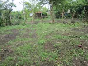This is the area behind the school where we planted the garden and where the chicken coop will go. We saw sprouts coming up before we left. Our team and the students at the school covered this ground in prayer for those chickens. Jehovah-Jireh, God will provide. (This is also the name of the school, for those interested).
